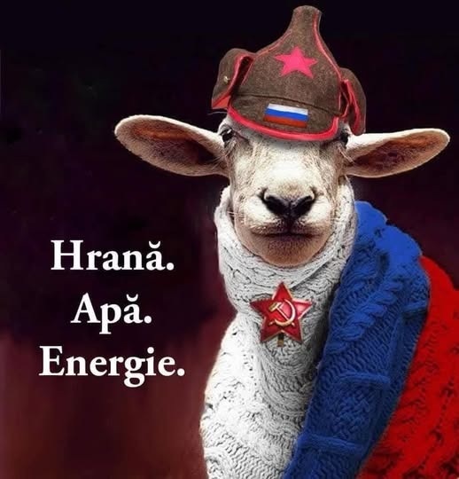 Hrană, apă, energie